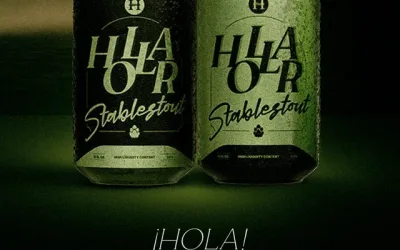 HOLLAR: El nuevo stablecoin del ecosistema Polkadot y por qué los “stables” están siendo clave